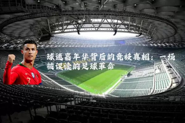 球迷嘉年华背后的竞技真相：一场被误读的足球革命